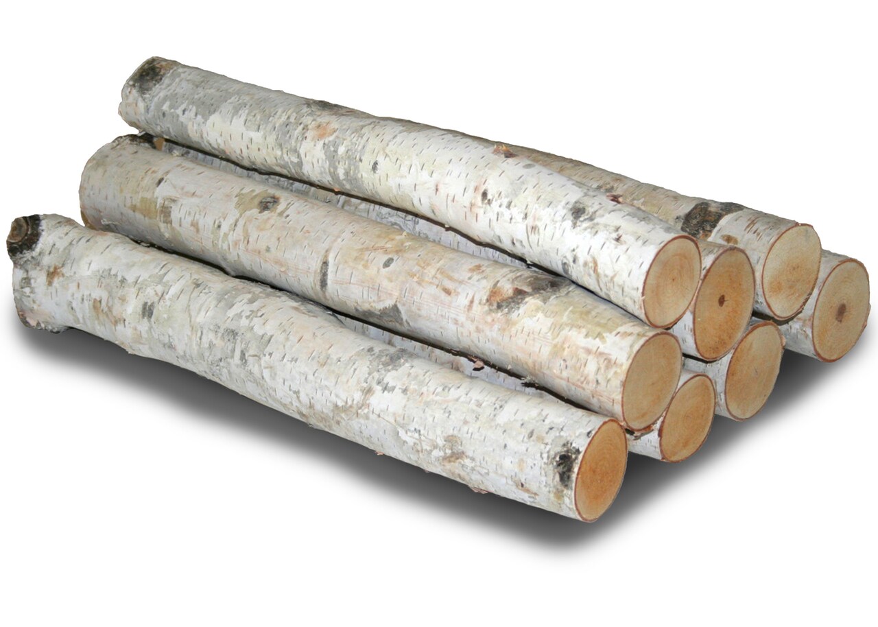 Wilson Decorative White Birch Log Bundle, Natural Bark Wood Home Décor 1.5-3" Dia. X 17.5" or 24" Length